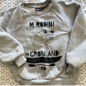 mini rodini sweater